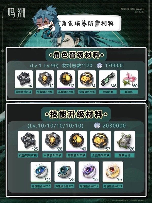 鸣潮忌炎技能介绍及培养攻略 忌炎队伍怎么搭配