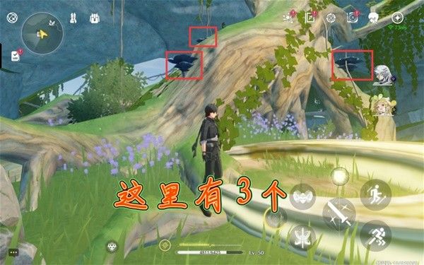 鸣潮云芝刷新点位说明 云芝怎么获得