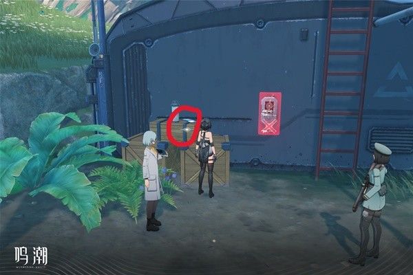 《鸣潮》无光之森生态调查任务怎么过  无光之森生态调查任务攻略