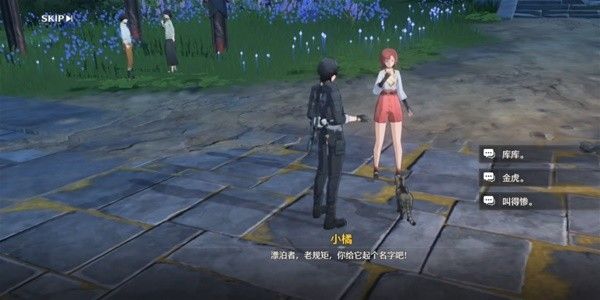 鸣潮拯救世界拯救猫咪任务详细攻略