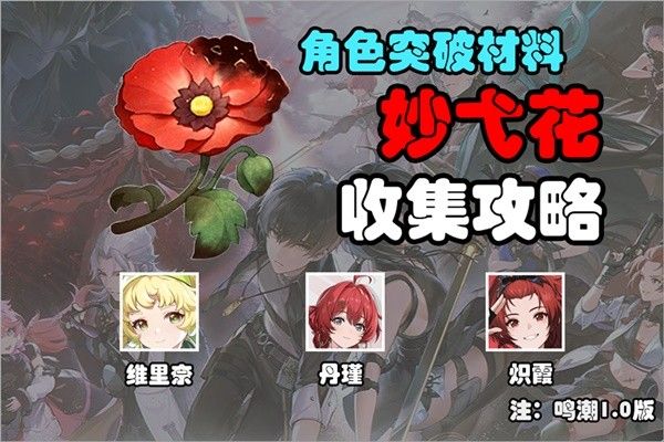 《鸣潮》妙弋花怎么获得 妙弋花采集线路建议