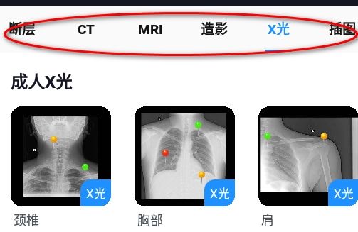 影像解剖图谱免费版2024