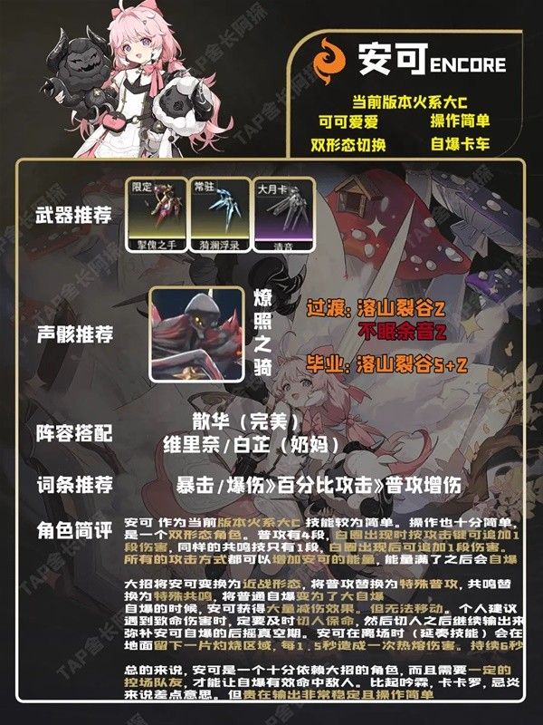 鸣潮五星角色培养一图流 忌炎出装与配队推荐