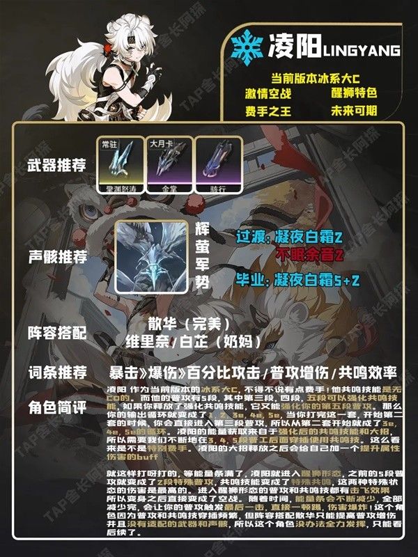 鸣潮五星角色培养一图流 忌炎出装与配队推荐