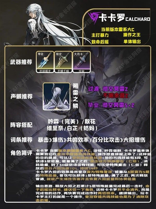 鸣潮五星角色培养一图流 忌炎出装与配队推荐