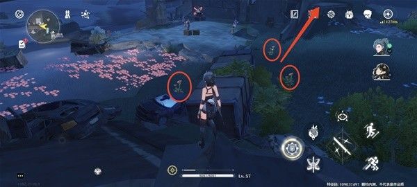 鸣潮妙弋花采集路线分享 妙弋花在哪里采集