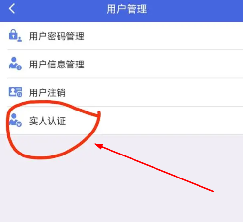 江苏税务电子税务局app
