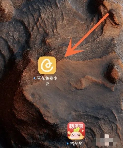 蛋花免费阅读小说无广告