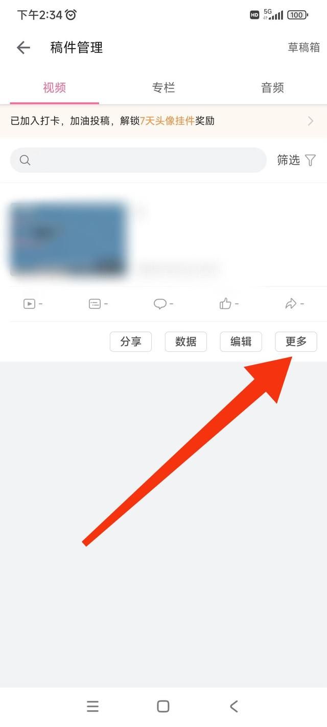 哔哩哔哩内置漫游版
