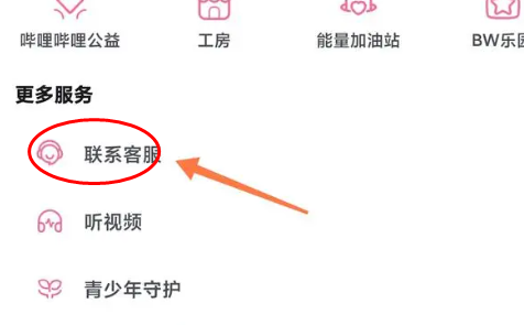 哔哩哔哩内置漫游版