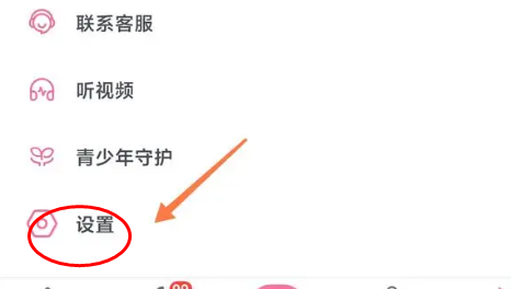 哔哩哔哩内置漫游版