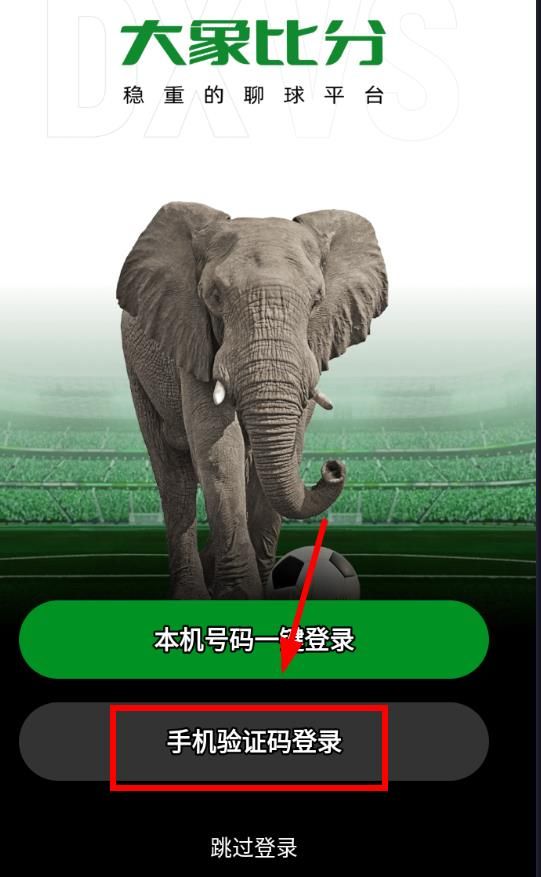 大象比分预测软件