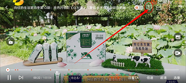 Bind最新版