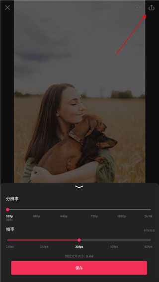 VideoGuru pro专业版