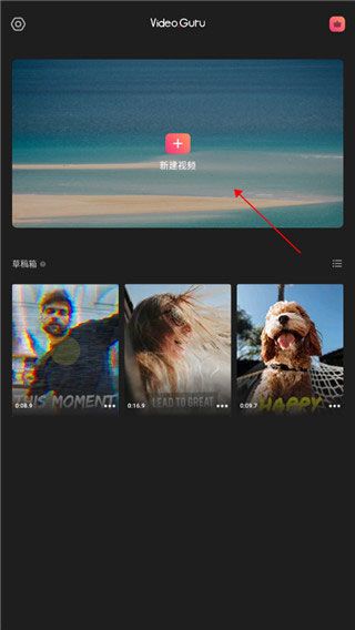 VideoGuru pro专业版