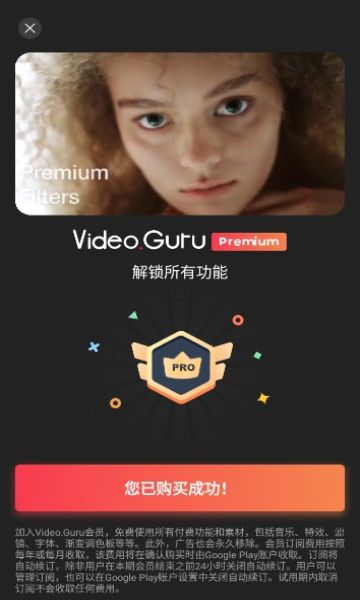 VideoGuru pro专业版