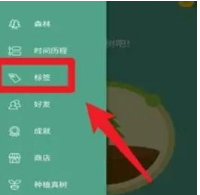 forest专注森林无限金币专业版