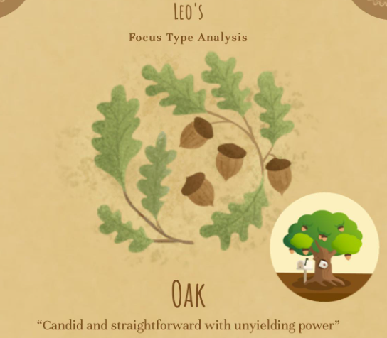 Forest专注森林安卓版下载