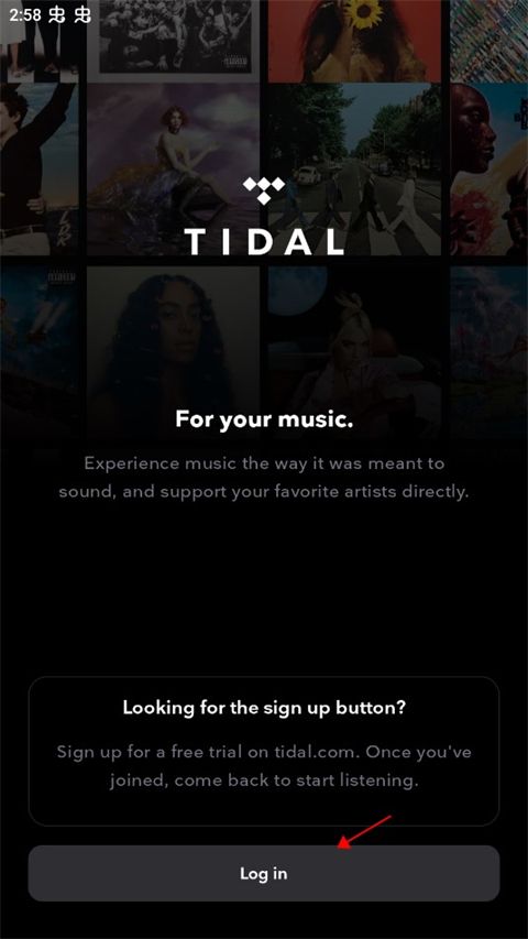 tidal音乐app