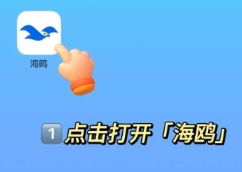 海鸥加密软件