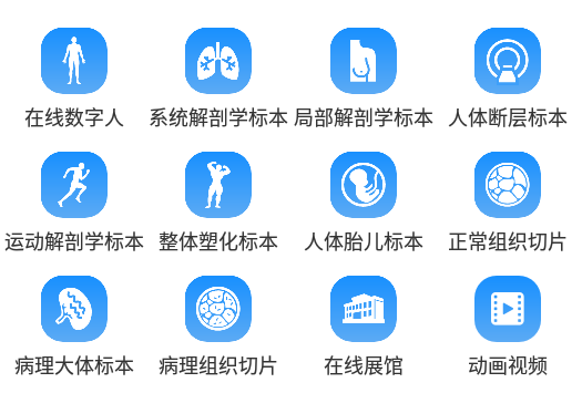 医维度解剖官方版, 医维度解剖官方版