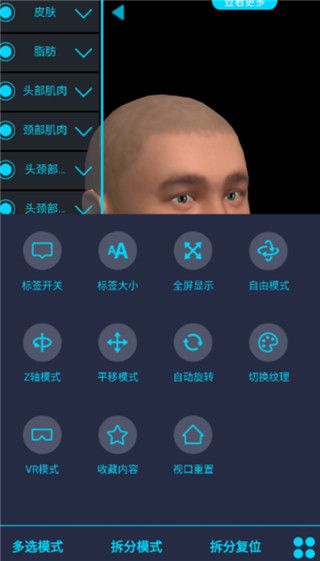 医维度解剖官方版